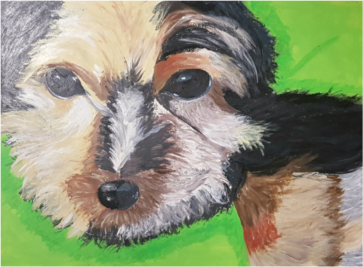 Acrylic painting of yorkshire terrier